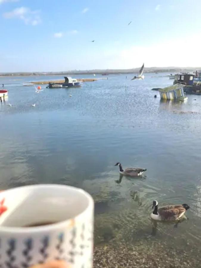 Holes Bay Nature Reserve, Poole, Right Next To The Water Ngoại thất bức ảnh